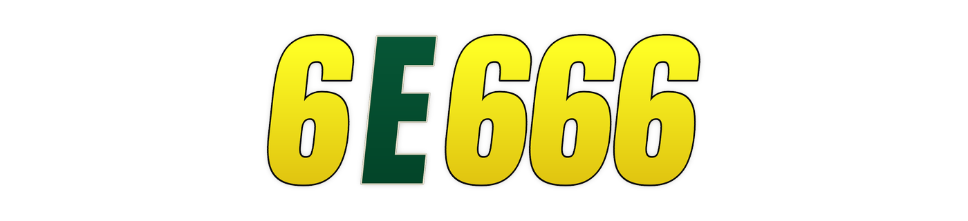 6e666
